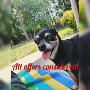 🌸Make Me an Offer!🌸